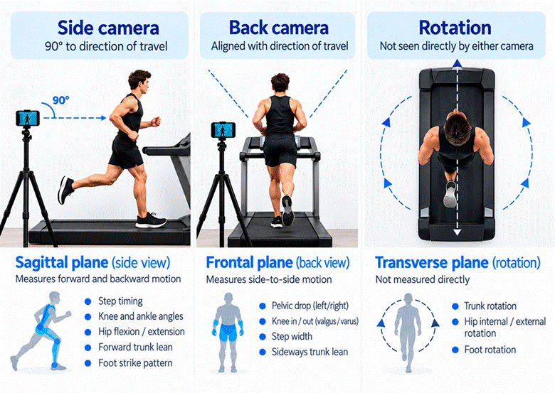Title: Figure - Description: Article figure