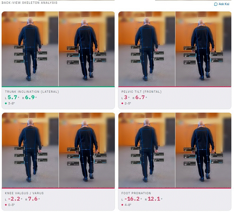 Title: Figure - Description: Article figure