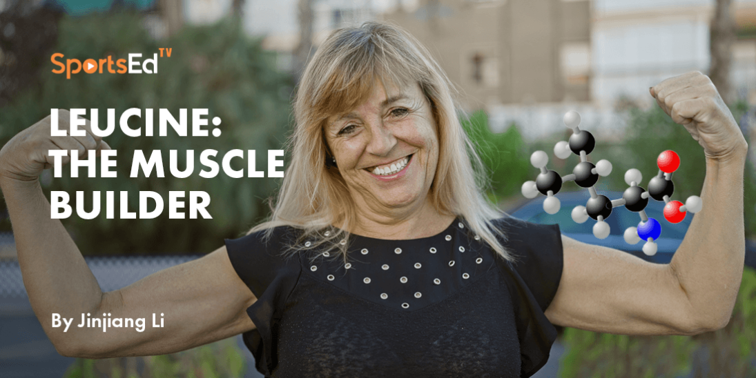 Leucine: The Key Amino Acid for Healthy Aging and Muscle Maintenance