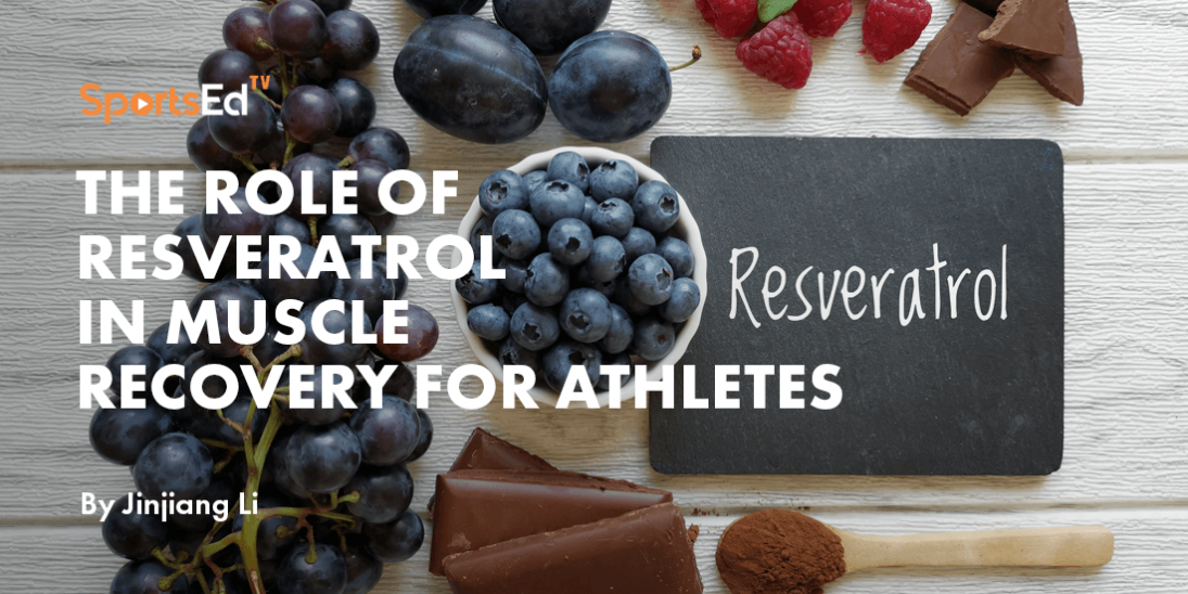 The Role of Resveratrol in Muscle Recovery for Athletes