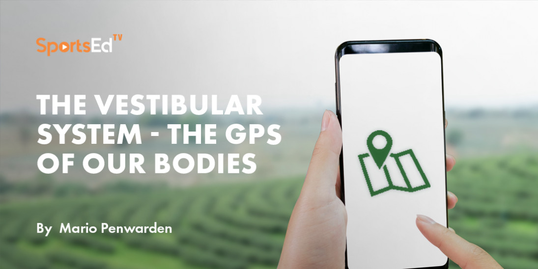The Vestibular System - The GPS Of Our Bodies